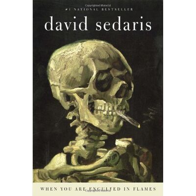 David Sedaris When You Are Engulfed In Flames - Publicité David Sedaris When You Are Engulfed In Flames - Publicité