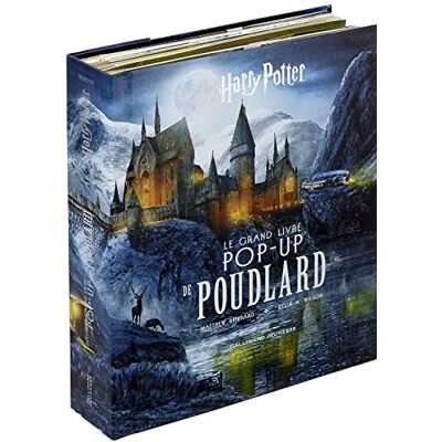 Harry Potter : Le Grand Livre Pop-Up De Poudlard - Publicité Harry Potter : Le Grand Livre Pop-Up De Poudlard - Publicité