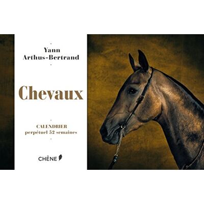 Chevaux : Calendrier Perpétuel 52 Semaines - Publicité Chevaux : Calendrier Perpétuel 52 Semaines - Publicité