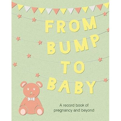 TO BE ANNOUNCED From Bump To Baby: A Record Book Of Pregnancy And Beyond - Publicité TO BE ANNOUNCED From Bump To Baby: A Record Book Of Pregnancy And Beyond - Publicité