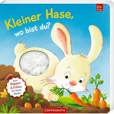 Mein Erstes Guckloch-Fühlbuch: Kleiner Hase, Wo Bist Du?: Mit Fühlteilen Und Großen Klappen: Fühlbuch Mit Großen Klappen Für Kinder Ab 12 Monate (Fühlen Und Die Welt Begreifen) - Publicité Mein Erstes Guckloch-Fühlbuch: Kleiner Hase, Wo Bist Du?: Mit Fühlteilen Und Großen Klappen: Fühlbuch Mit Großen Klappen Für Kinder Ab 12 Monate (Fühlen Und Die Welt Begreifen) - Publicité