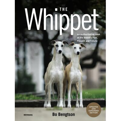 Bo Bengtson The Whippet: An Authoritative Look At The Breed’s Past, Present And Future - Publicité Bo Bengtson The Whippet: An Authoritative Look At The Breed’s Past, Present And Future - Publicité
