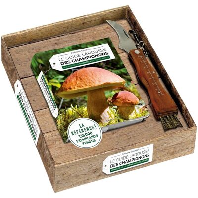 Guillaume Eyssartier Le Larousse Des Champignons - Publicité Guillaume Eyssartier Le Larousse Des Champignons - Publicité