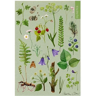 Mynotes Papeterie: Notizheft Naturschätze: Wald & Wiesenblumen Heft Liniert A5, Blumiges Design, Für Notizen Und Gute Ideen Unterwegs - Publicité Mynotes Papeterie: Notizheft Naturschätze: Wald & Wiesenblumen Heft Liniert A5, Blumiges Design, Für Notizen Und Gute Ideen Unterwegs - Publicité