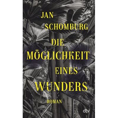 Jan Schomburg Die Möglichkeit Eines Wunders: Roman - Publicité Jan Schomburg Die Möglichkeit Eines Wunders: Roman - Publicité