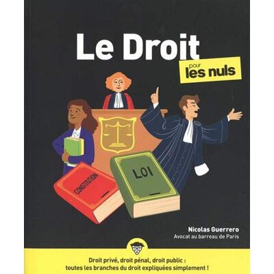 Le Droit Pour Les Nuls - Publicité Le Droit Pour Les Nuls - Publicité