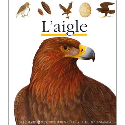 L'Aigle - Publicité L'Aigle - Publicité