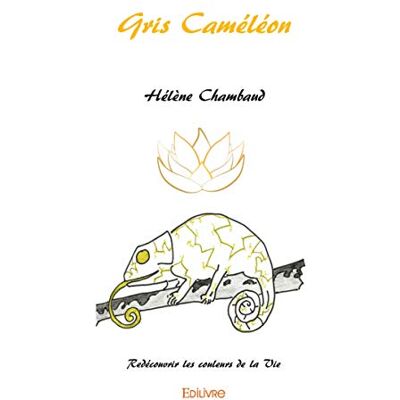 Hélène Chambaud Gris Caméléon - Publicité Hélène Chambaud Gris Caméléon - Publicité