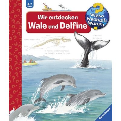 Doris Rübel Wieso? Weshalb? Warum? 41: Wir Entdecken Wale Und Delfine - Publicité Doris Rübel Wieso? Weshalb? Warum? 41: Wir Entdecken Wale Und Delfine - Publicité