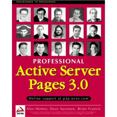 Homer Pro Asp 3.0, (Programmer To Programmer) - Publicité Homer Pro Asp 3.0, (Programmer To Programmer) - Publicité
