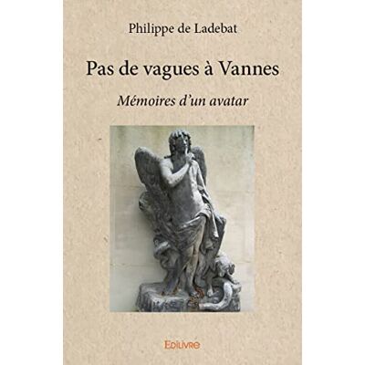 Philippe de Ladebat Pas De Vagues À Vannes : Mémoires D'Un Avatar - Publicité Philippe de Ladebat Pas De Vagues À Vannes : Mémoires D'Un Avatar - Publicité