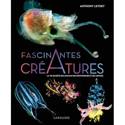Anthony Leydet Fascinantes Créatures : La Vie Secrète Des Animaux Des Profondeurs Et Des Abysses - Publicité Anthony Leydet Fascinantes Créatures : La Vie Secrète Des Animaux Des Profondeurs Et Des Abysses - Publicité