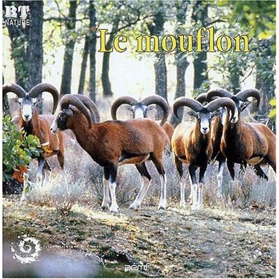 Collectif Le Mouflon - Publicité Collectif Le Mouflon - Publicité