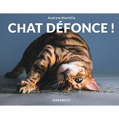 Collectif Chat Défonce ! - Publicité Collectif Chat Défonce ! - Publicité