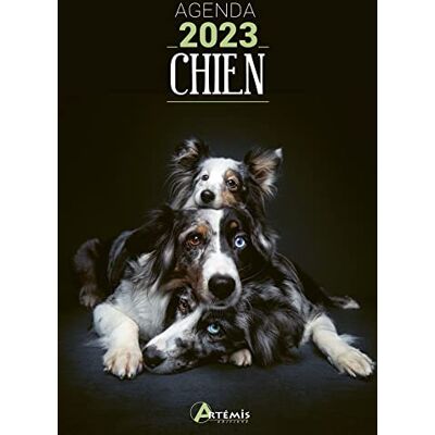 Artémis Chien : Agenda 2023 - Publicité Artémis Chien : Agenda 2023 - Publicité
