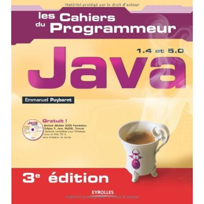 Emmanuel Puybaret Java 1.4 Et 5.0 - Publicité Emmanuel Puybaret Java 1.4 Et 5.0 - Publicité