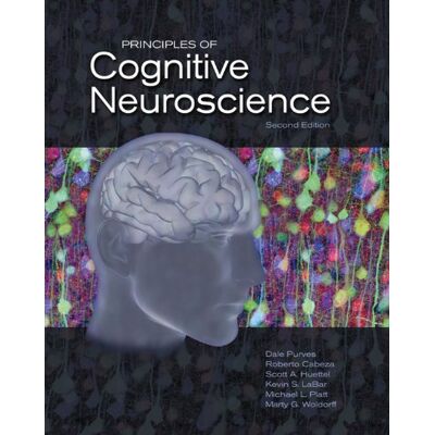 Dale Purves Principles Of Cognitive Neuroscience - Publicité Dale Purves Principles Of Cognitive Neuroscience - Publicité