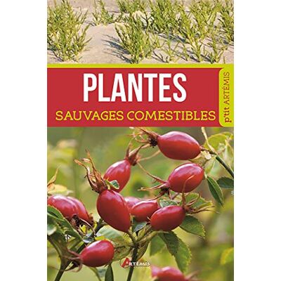 Collectif Plantes Sauvages Comestibles - Publicité Collectif Plantes Sauvages Comestibles - Publicité