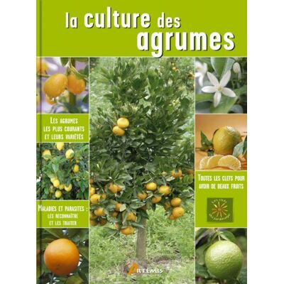 Collectif La Culture Des Agrumes - Publicité Collectif La Culture Des Agrumes - Publicité