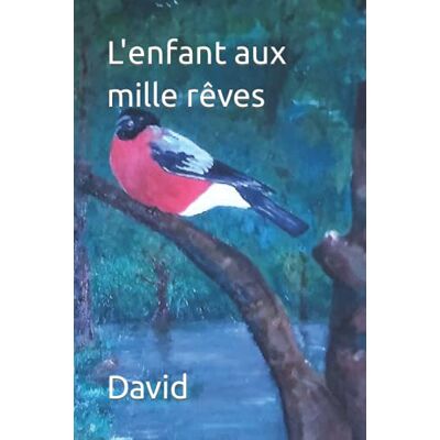 David L'Enfant Aux Mille Rêves - Publicité David L'Enfant Aux Mille Rêves - Publicité