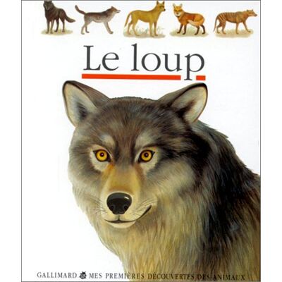 Collectif Le Loup - Publicité Collectif Le Loup - Publicité