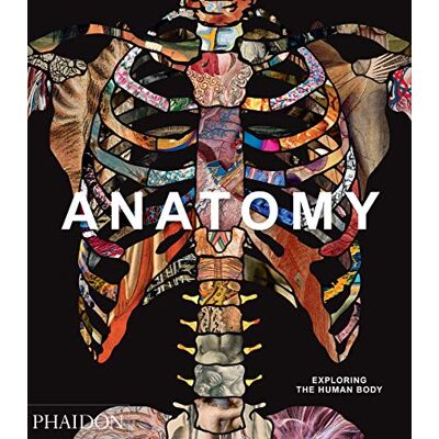 Phaidon Press Limited Anatomy: Exploring The Human Body (Explorer) - Publicité Phaidon Press Limited Anatomy: Exploring The Human Body (Explorer) - Publicité