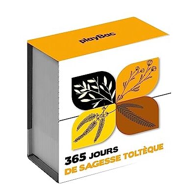 Play Bac 365 Jours De Sagesse Toltèque - Publicité Play Bac 365 Jours De Sagesse Toltèque - Publicité