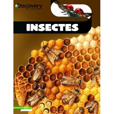 Lesley McFadzean Insectes - Publicité Lesley McFadzean Insectes - Publicité
