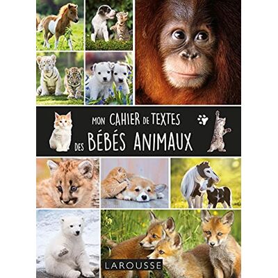 Larousse Mon Cahier De Textes Des Bébés Animaux - Publicité Larousse Mon Cahier De Textes Des Bébés Animaux - Publicité