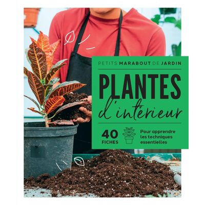 Collectif Plantes D'Intérieur : 40 Fiches Pour Apprendre Les Techniques Essentielles - Publicité Collectif Plantes D'Intérieur : 40 Fiches Pour Apprendre Les Techniques Essentielles - Publicité