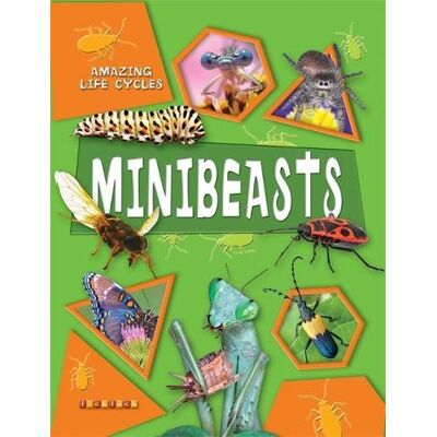 George McGavin Amazing Life Cycles: Minibeasts - Publicité George McGavin Amazing Life Cycles: Minibeasts - Publicité