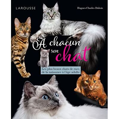 Hughes-charles Dubois A Chacun Son Chat : Les Plus Beaux Chats De Race, De La Naissance À L'Âge Adulte - Publicité Hughes-charles Dubois A Chacun Son Chat : Les Plus Beaux Chats De Race, De La Naissance À L'Âge Adulte - Publicité