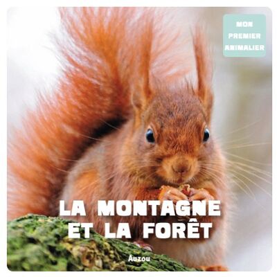 Patrick David La Montagne Et La Forêt - Publicité Patrick David La Montagne Et La Forêt - Publicité