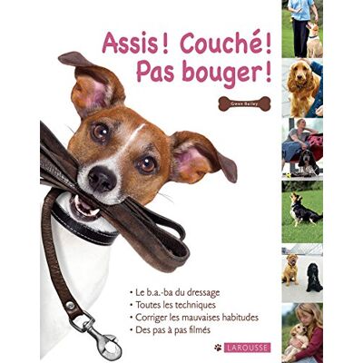 Assis ! Couché ! Pas Bouger ! - Publicité Assis ! Couché ! Pas Bouger ! - Publicité