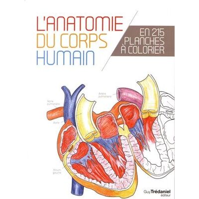 Le Corps Humain : L'Anatomie Du Corps Humain En 215 Planches À Colorier - Publicité Le Corps Humain : L'Anatomie Du Corps Humain En 215 Planches À Colorier - Publicité
