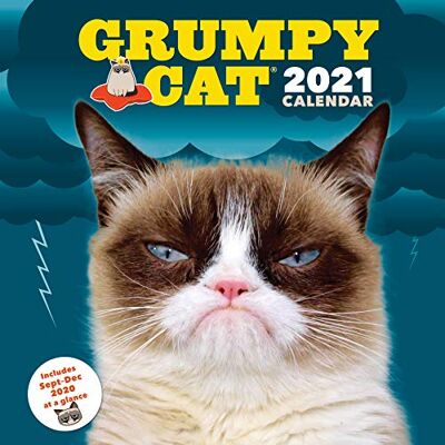 Grumpy Cat 2021 Wall Calendar: (Cranky Kitty Monthly Calendar, Funny Internet Meme 12-Month Calendar) - Publicité Grumpy Cat 2021 Wall Calendar: (Cranky Kitty Monthly Calendar, Funny Internet Meme 12-Month Calendar) - Publicité