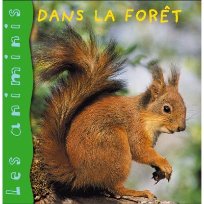 Collectif Dans La Forêt - Publicité Collectif Dans La Forêt - Publicité