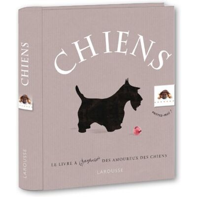 Larousse Chiens : Le Premier Livre Animé Pour Tous Les Passionnés De Chiens - Publicité Larousse Chiens : Le Premier Livre Animé Pour Tous Les Passionnés De Chiens - Publicité
