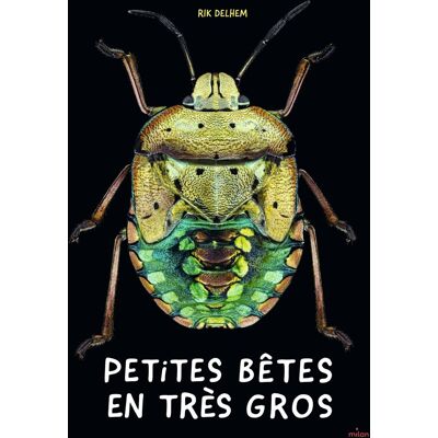 Rik Delhem Petites Bêtes En Très Gros - Publicité Rik Delhem Petites Bêtes En Très Gros - Publicité