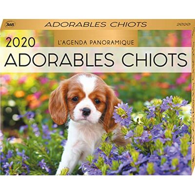 Editions 365 Adorables Chiots 2020 : L'Agenda Panoramique - Publicité Editions 365 Adorables Chiots 2020 : L'Agenda Panoramique - Publicité