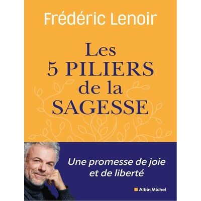 Frédéric Lenoir Les 5 Piliers De La Sagesse - Publicité Frédéric Lenoir Les 5 Piliers De La Sagesse - Publicité