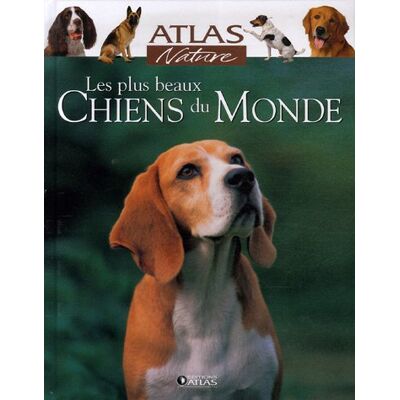 Atlas Les Plus Beaux Chiens Du Monde - Publicité Atlas Les Plus Beaux Chiens Du Monde - Publicité