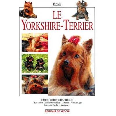 Paola Pesce Le Yorkshire-Terrier - Publicité Paola Pesce Le Yorkshire-Terrier - Publicité