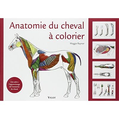 Maggie Raynor Anatomie Du Cheval À Colorier : Une Aide À L'Apprentissage De L'Anatomie Du Cheval - Publicité Maggie Raynor Anatomie Du Cheval À Colorier : Une Aide À L'Apprentissage De L'Anatomie Du Cheval - Publicité