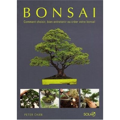 Peter Chan Bonsaï : Comment Choisir, Bien Entretenir Ou Créer Votre Bonsaï - Publicité Peter Chan Bonsaï : Comment Choisir, Bien Entretenir Ou Créer Votre Bonsaï - Publicité