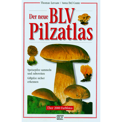 Thomas Laessoe Der Neue Blv Pilzatlas. Speisepilze Sammeln Und Zubereiten. Giftpilze Sicher Erkennen - Publicité Thomas Laessoe Der Neue Blv Pilzatlas. Speisepilze Sammeln Und Zubereiten. Giftpilze Sicher Erkennen - Publicité