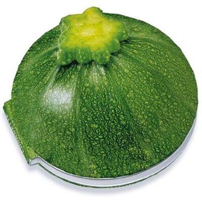Larousse Les Meilleures Recettes À La Courgette - Publicité Larousse Les Meilleures Recettes À La Courgette - Publicité
