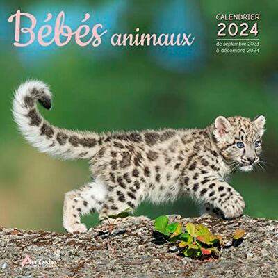 Artémis Bébés Animaux : Calendrier 2024 : De Septembre 2023 À Décembre 2024 - Publicité Artémis Bébés Animaux : Calendrier 2024 : De Septembre 2023 À Décembre 2024 - Publicité