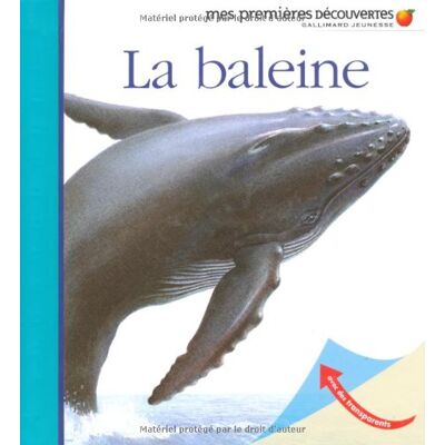 Collectif La Baleine - Publicité Collectif La Baleine - Publicité