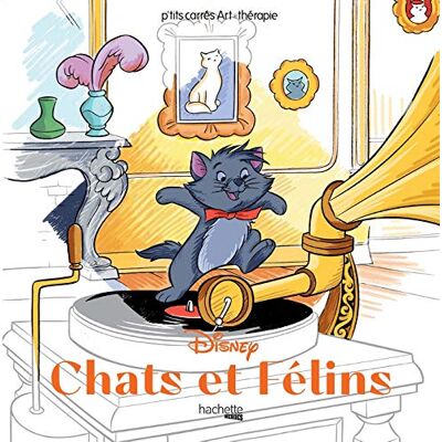 Chats Et Félins - Publicité Chats Et Félins - Publicité